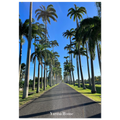 8c6ae455-8d23-4aff-89a7-a3771bacdf26
