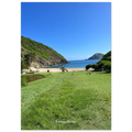 f19dd471-a699-4b2f-a7dd-e5a1a2ef439c